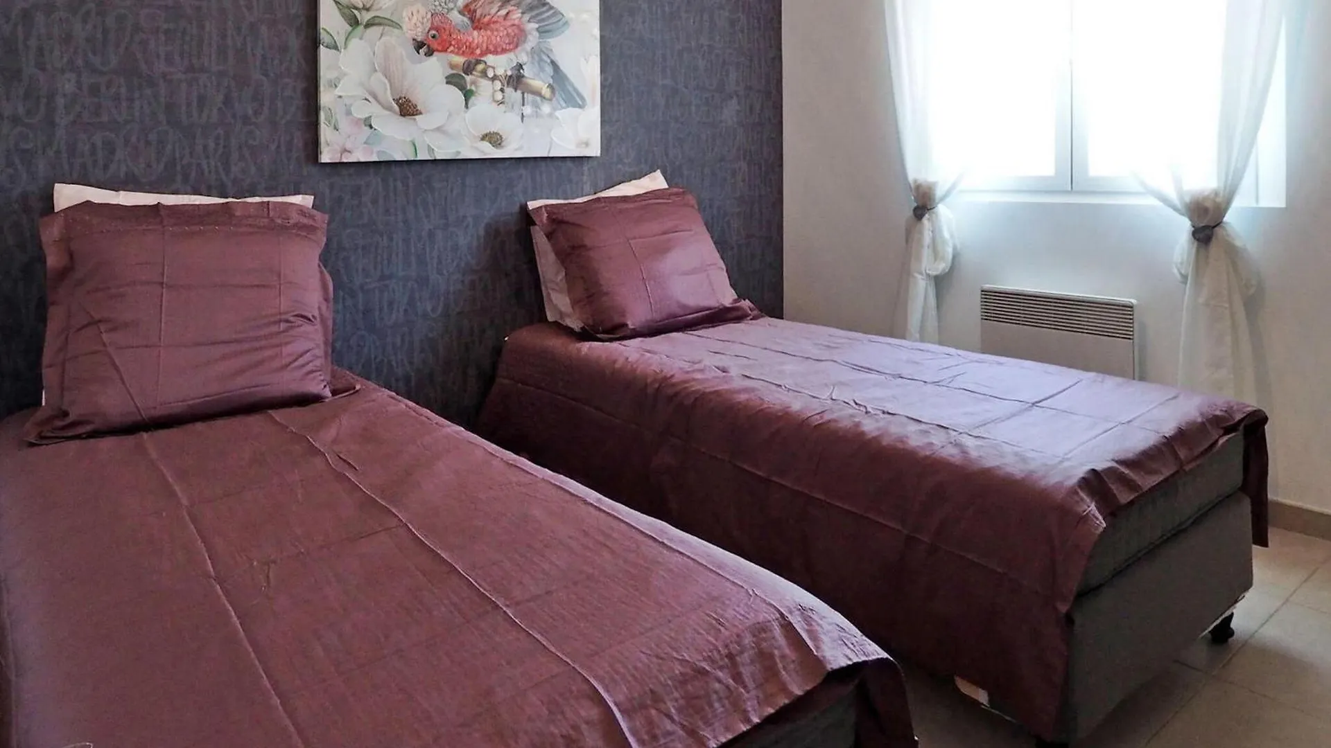 Zebre Villa Eyragues France